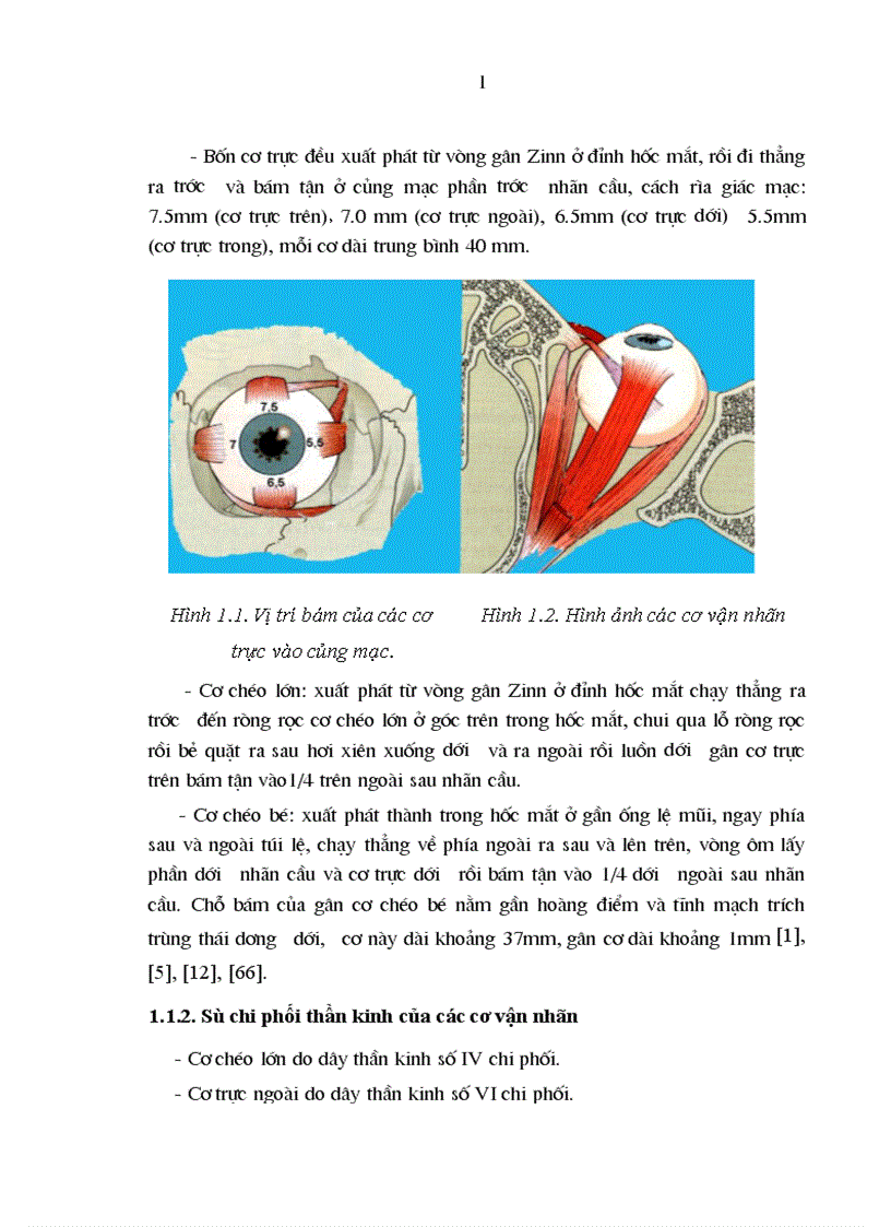 image for page Đánh giá kết quả phẫu thuật điều trị lác trong cơ năng bẩm sinh