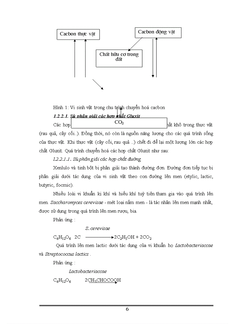 image for page Phân lập tuyển chọn và ứng dụng một số vi khuẩn có khả năng phân giải xenlulo góp phần xử lý rác thải sinh hoạt