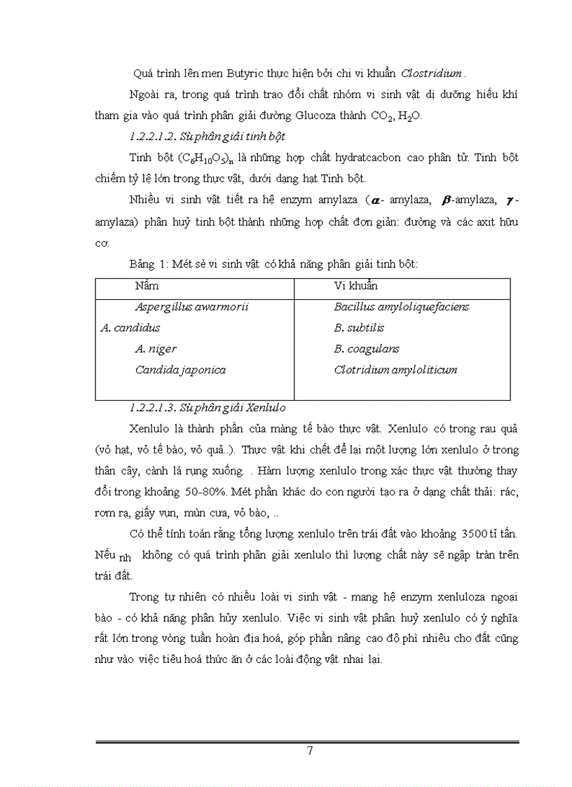 image for page Phân lập tuyển chọn và ứng dụng một số vi khuẩn có khả năng phân giải xenlulo góp phần xử lý rác thải sinh hoạt