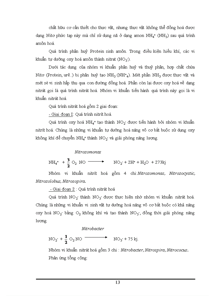 image for page Phân lập tuyển chọn và ứng dụng một số vi khuẩn có khả năng phân giải xenlulo góp phần xử lý rác thải sinh hoạt