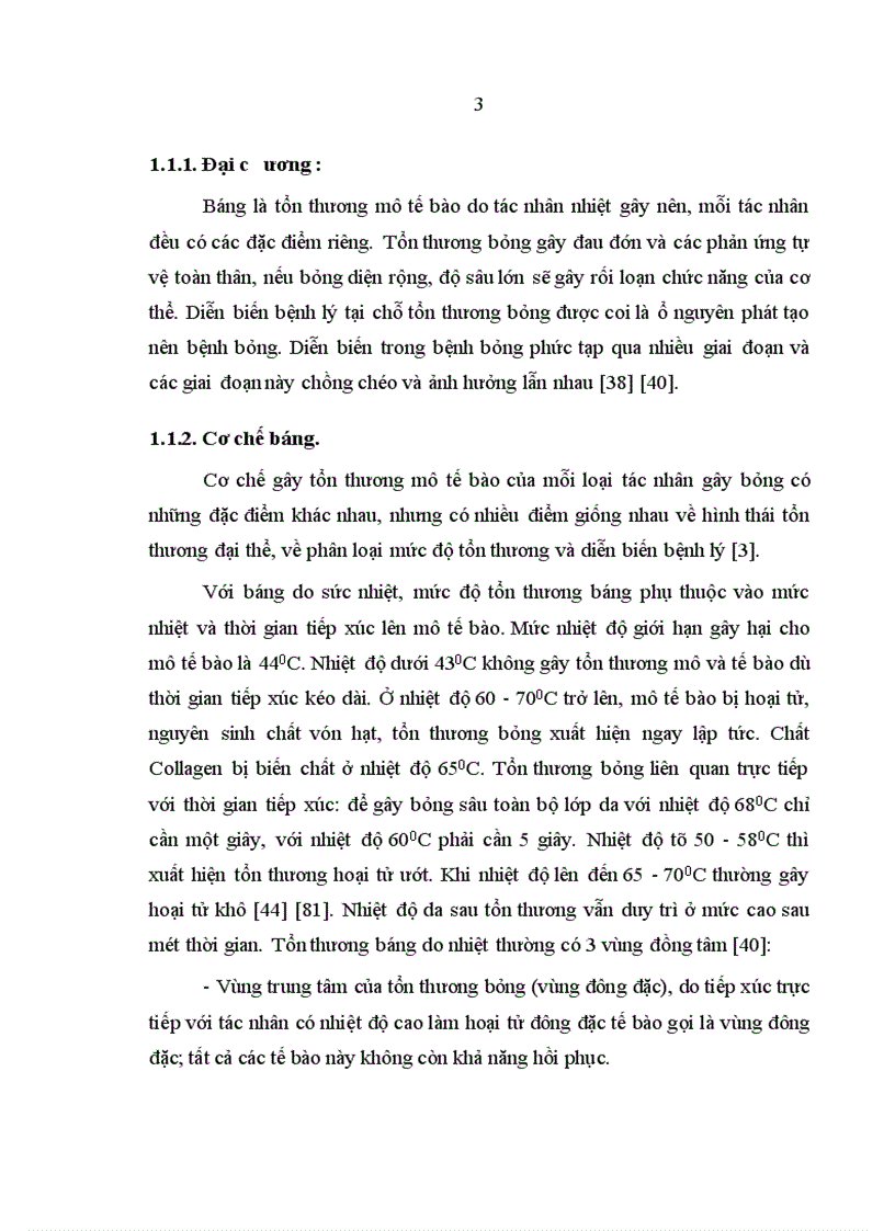 image for page Nghiên cứu hiệu quả kháng Pseudomonas aeruginosa và Staphylocous aureus của cao Lô hội trên thực nghiệm