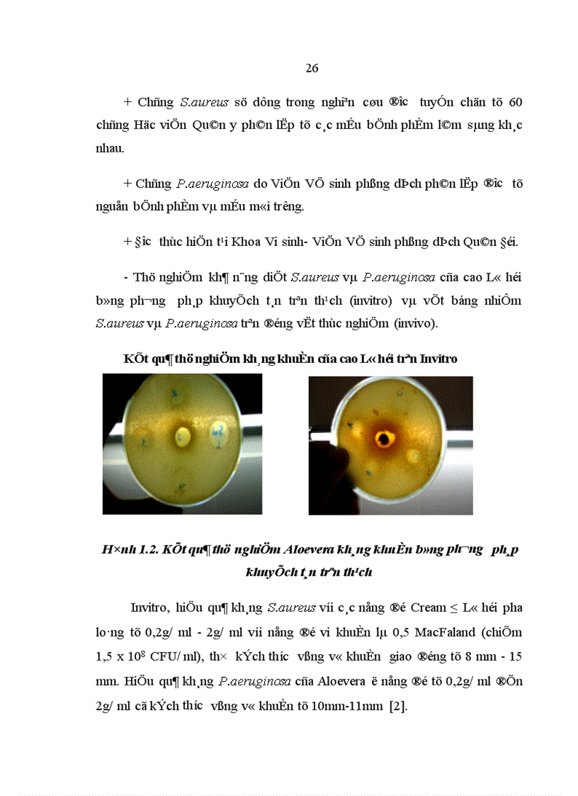 image for page Nghiên cứu hiệu quả kháng Pseudomonas aeruginosa và Staphylocous aureus của cao Lô hội trên thực nghiệm