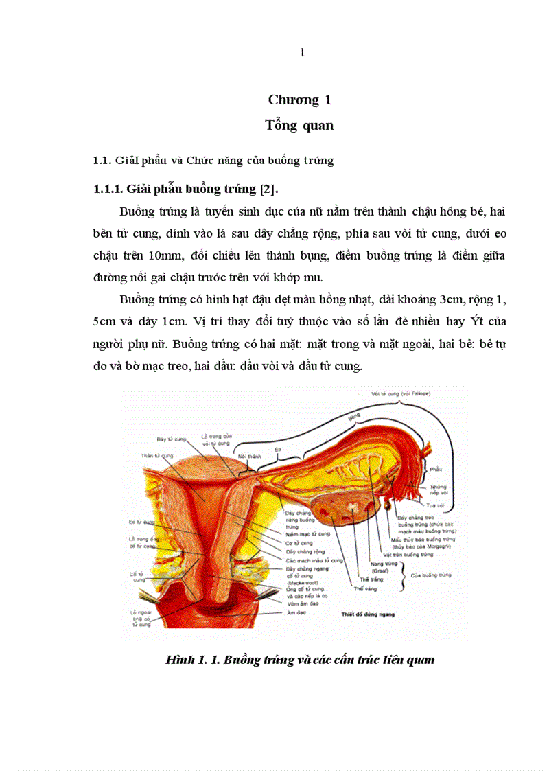 image for page So sánh một số đặc điểm biến chứng của phẫu thuật chủ động và cấp cứu khối u buồng trứng trong thai kỳ tại Bệnh viện Phụ sản Trung ương từ năm 2003 đến 2007