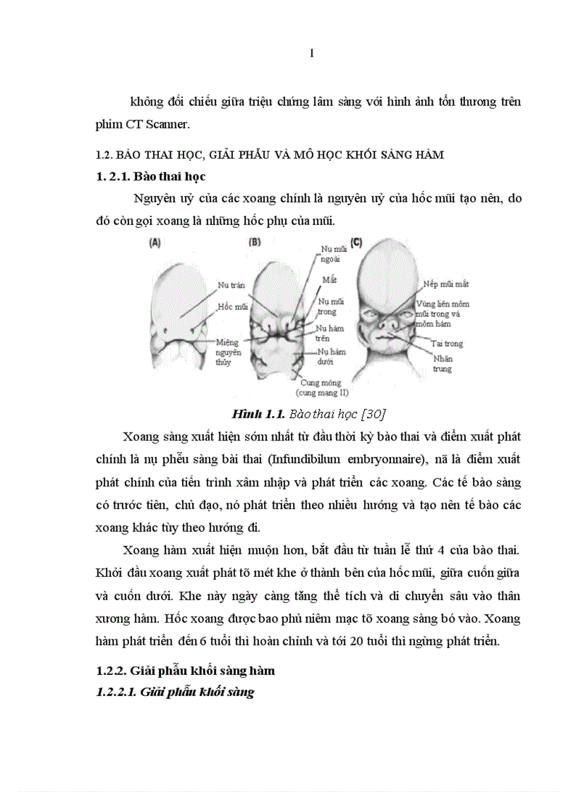 image for page Nghiên cứu đặc điểm lâm sàng chẩn đoán hình ảnh và mô bệnh học của ung thư sàng hàm