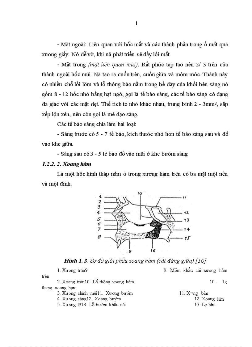 image for page Nghiên cứu đặc điểm lâm sàng chẩn đoán hình ảnh và mô bệnh học của ung thư sàng hàm