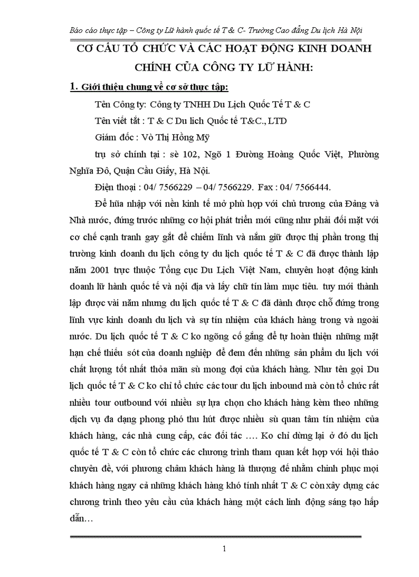 image for page Hoạt động marketing của Công ty Lữ hành quốc tế T C