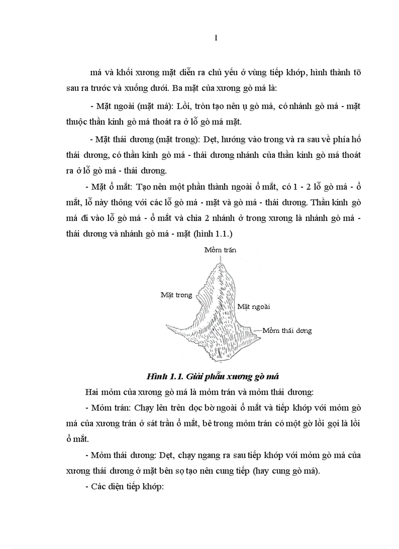 image for page Nghiên cứu lâm sàng điều trị gãy phức tạp xương gò má và cung tiếp tại Viện Răng Hàm Mặt Quốc Gia