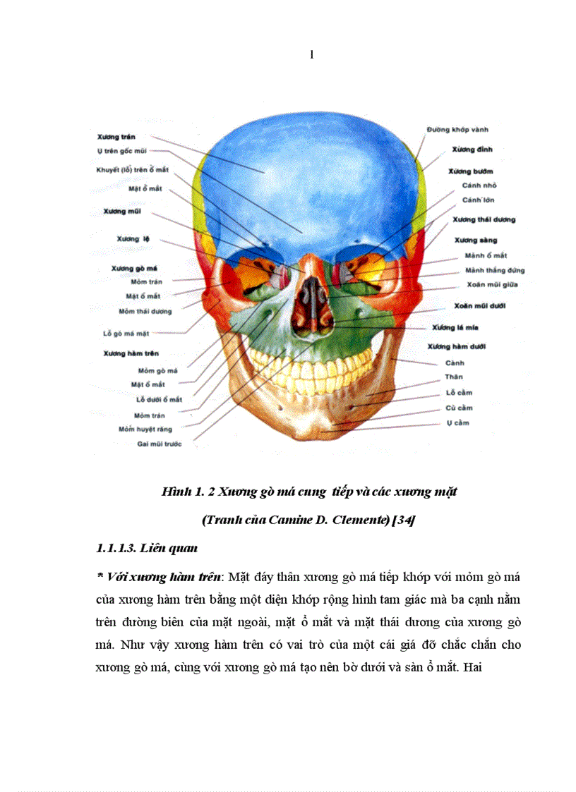 image for page Nghiên cứu lâm sàng điều trị gãy phức tạp xương gò má và cung tiếp tại Viện Răng Hàm Mặt Quốc Gia