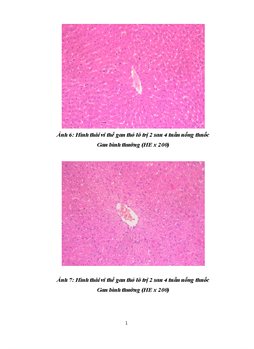 image for page Kết quả Nghiên cứu độc tính cấp và bán trường diễn của bài thuốc thân thống trục ứ thang trên thực nghiệm