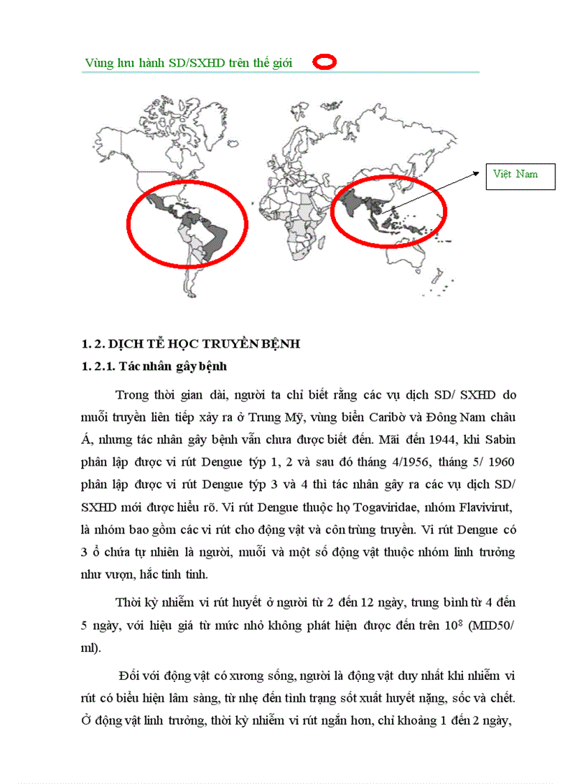 image for page Đặc điểm dịch tễ học bệnh sốt dengue sốt xuất huyết dengue tại huyện hương khê tỉnh hà tĩnh năm 2010