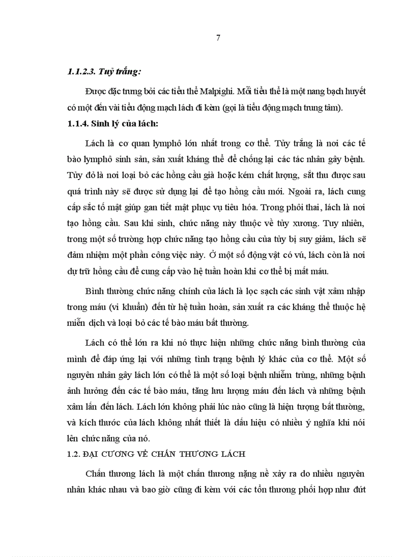 image for page Đánh giá kết quả diều trị bảo tồn chấn thương lách tại bệnh viện Việt Đức