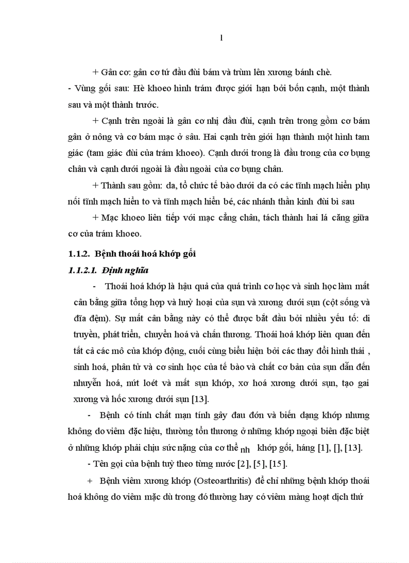 image for page Tác dụng điều trị hỗ trợ của cồn thuốc đắp Boneal Cốt Thống Linh kết hợp với bài thuốc Độc hoạt ký sinh thang trên bệnh nhân thoái hóa khớp gối