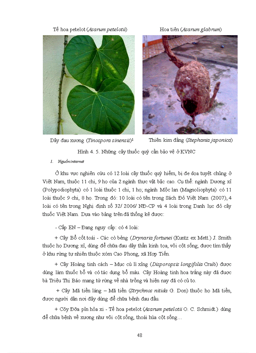 image for page Điều tra cây thuốc được sử dụng theo kinh nghiệm của đồng bào dân tộc Dao ở xã Hợp Tiến huyện Đồng Hỷ tỉnh Thái Nguyên