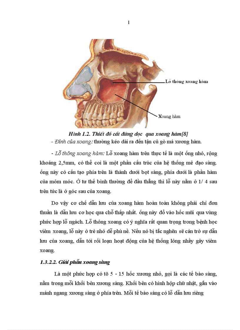 image for page Nghiên cứu đặc điểm lâm sàng cận lâm sàng của viêm xoang nhiễm khuẩn ở trẻ em