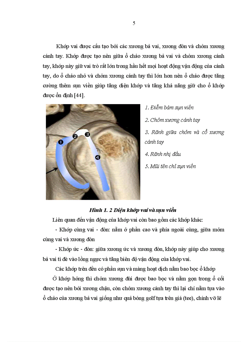 image for page Đánh giá hiệu quả của phương pháp tiêm corticoid dưới hướng dẫn của siêu âm trong điều trị viêm quanh khớp vai
