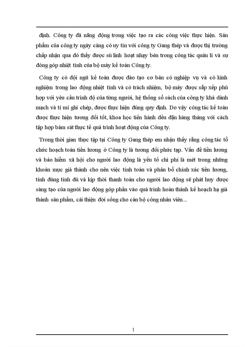 image for page Tình hình chung về công tác kế toán của nhà máy gang thép Thái Nguyên