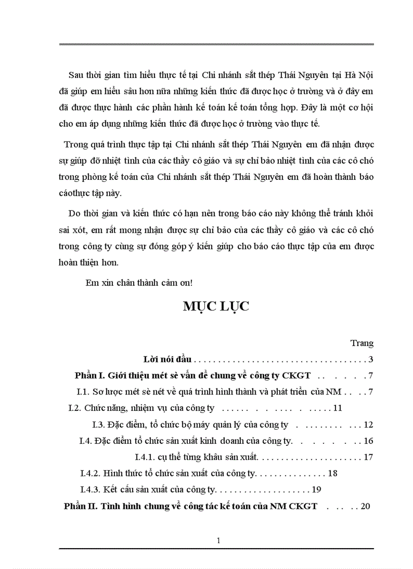 image for page Tình hình chung về công tác kế toán của nhà máy gang thép Thái Nguyên