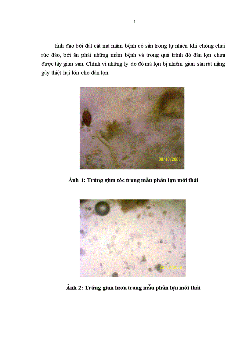 image for page Nghiên cứu tình hình bệnh giun sán của lợn lai giữa lợn rừng và lợn địa phương Pắc Nặm nuôi tại trại chăn nuôi xã Tức Tranh huyện Phú Lương tỉnh Thái Nguyên và biện pháp điều trị