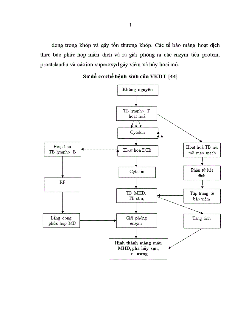 image for page Nghiên cứu đặc điểm một số tự kháng thể trong bệnh viêm khớp dạng thấp tại Bệnh viện Đa khoa Trung ương Cần thơ