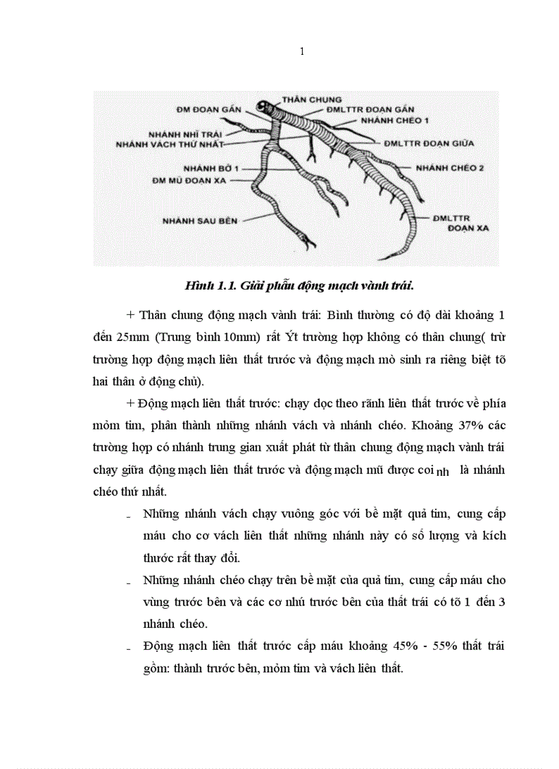 image for page Vai trò của siêu âm trong lòng mạch IVUS trong việc đánh giá mức độ tổn thương mạch vành tại chỗ chia đôi