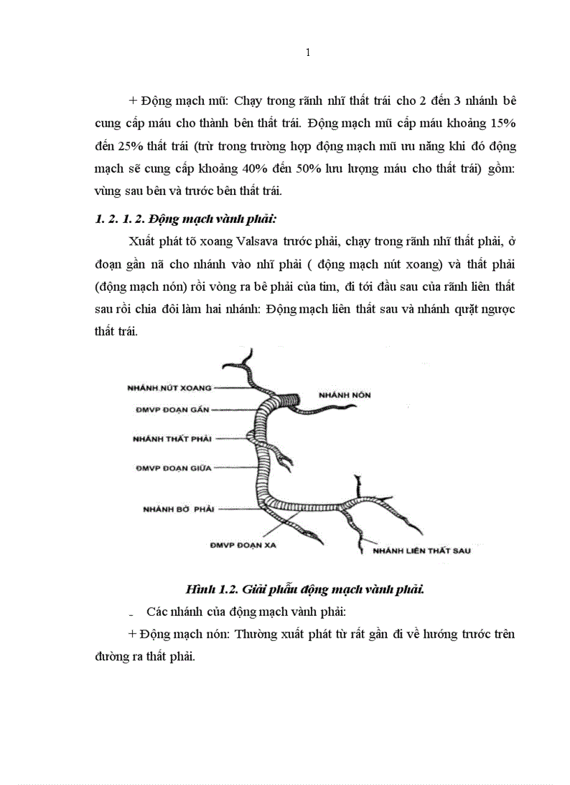 image for page Vai trò của siêu âm trong lòng mạch IVUS trong việc đánh giá mức độ tổn thương mạch vành tại chỗ chia đôi