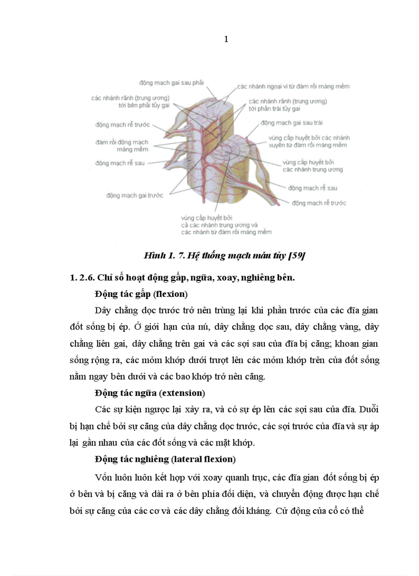 image for page Nghiên cứu chẩn đoán và kết quả điều trị phẫu thuật thoát vị đĩa đệm cột sống cổ bằng đường mổ cổ trước bên tại Bệnh viện Việt Đức