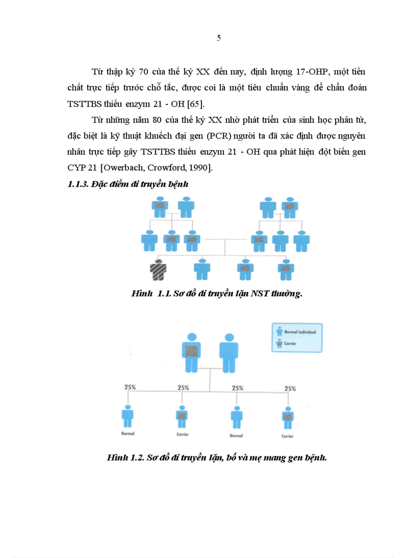 image for page Nghiên cứu sự phát triển thể chất và một số yếu tố ảnh hưởng ở trẻ TSTTBS đang điều trị tại Bệnh viện Nhi Trung ương