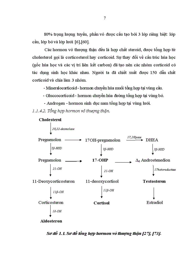 image for page Nghiên cứu sự phát triển thể chất và một số yếu tố ảnh hưởng ở trẻ TSTTBS đang điều trị tại Bệnh viện Nhi Trung ương