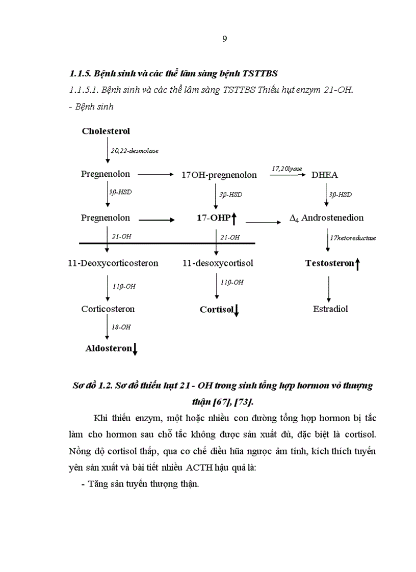 image for page Nghiên cứu sự phát triển thể chất và một số yếu tố ảnh hưởng ở trẻ TSTTBS đang điều trị tại Bệnh viện Nhi Trung ương