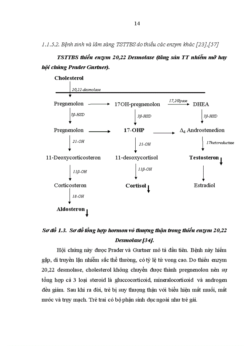 image for page Nghiên cứu sự phát triển thể chất và một số yếu tố ảnh hưởng ở trẻ TSTTBS đang điều trị tại Bệnh viện Nhi Trung ương