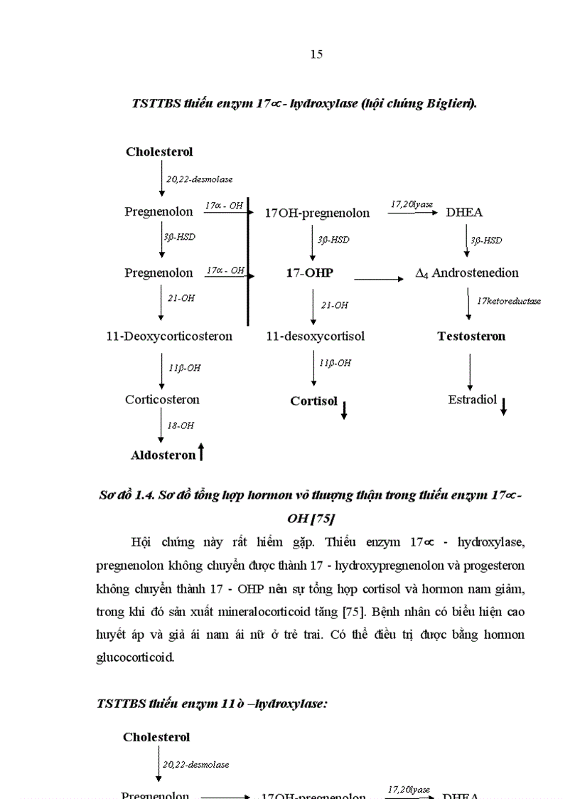 image for page Nghiên cứu sự phát triển thể chất và một số yếu tố ảnh hưởng ở trẻ TSTTBS đang điều trị tại Bệnh viện Nhi Trung ương