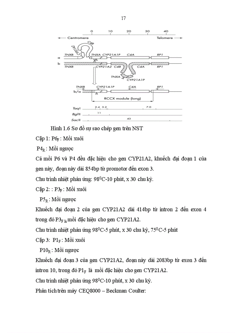 image for page Nghiên cứu giá trị 17 OHP trong theo dõi điều trị bệnh TSTTBS thể thiếu enzym 21 OH tại bệnh viện Nhi trung ương
