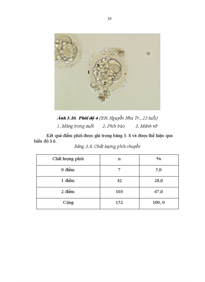 image for page Đánh giá kết quả của phương pháp thụ tinh trong ống nghiệm IVF tại Bệnh viện Phụ sản Hà Nội từ tháng 6 2006 đến tháng 6 2008
