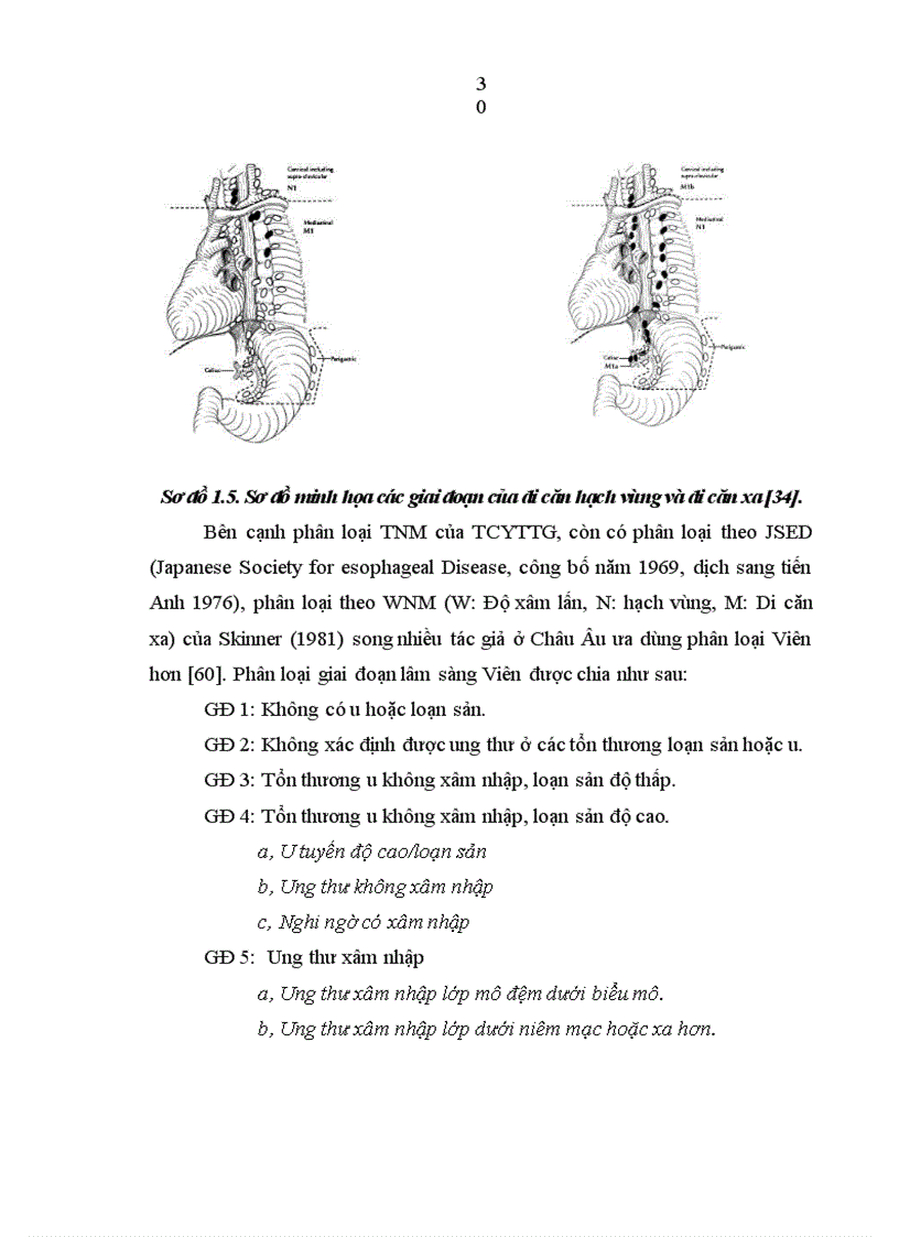 image for page Nghiên cứu đặc điểm lâm sàng và mô bệnh học ung thư biểu mô thực quản 1