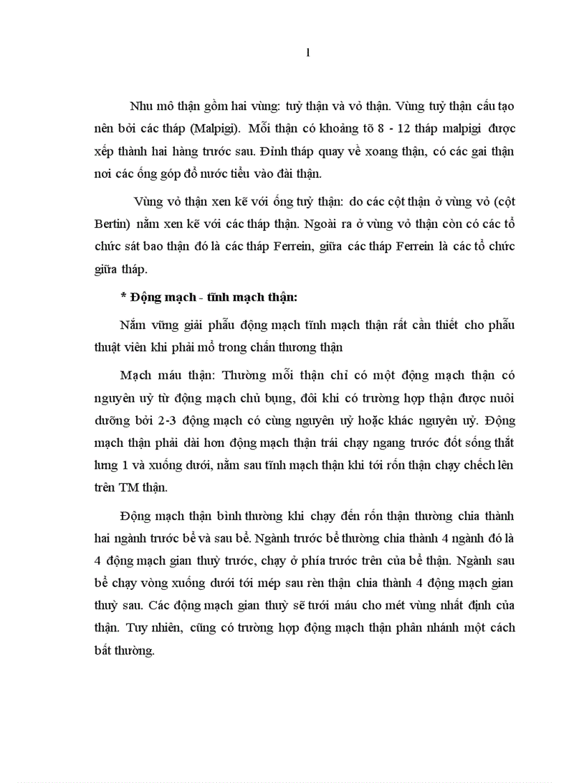 image for page Nghiên cứu đặc điểm lâm sàng cận lâm sàng và kết quả điều trị chấn thương thận không mổ tại bệnh viện Việt Đức