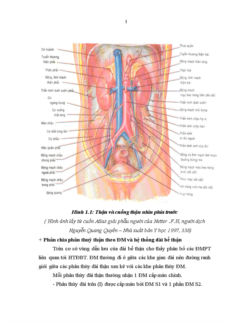 image for page Nghiên cứu đặc điểm lâm sàng cận lâm sàng và kết quả điều trị chấn thương thận không mổ tại bệnh viện Việt Đức