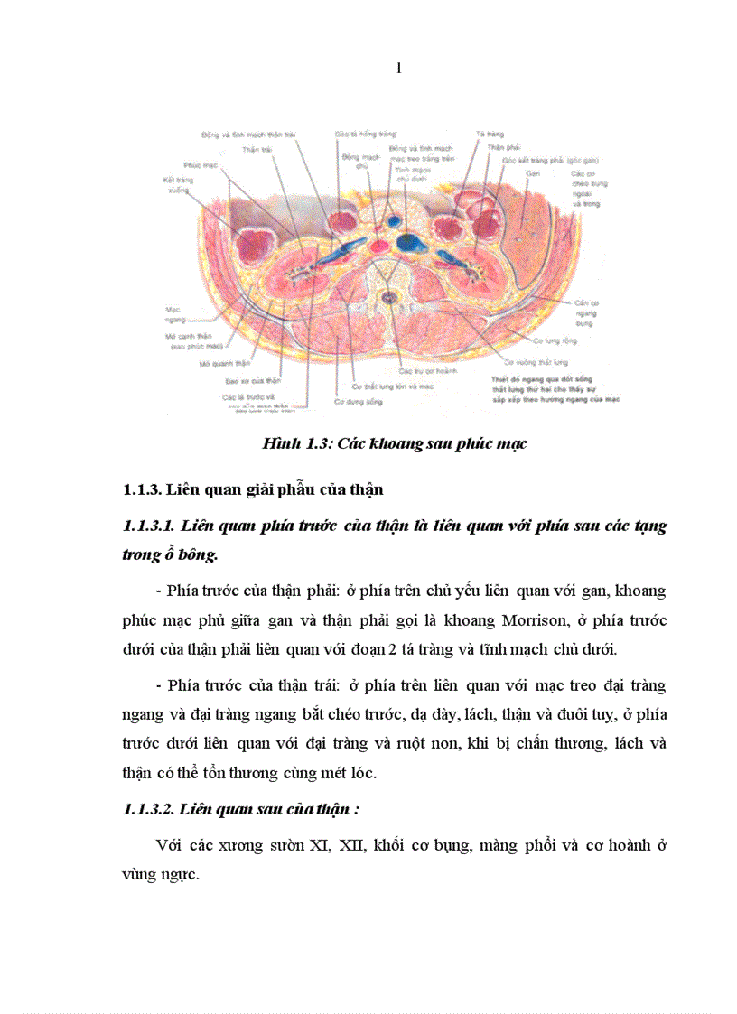 image for page Nghiên cứu đặc điểm lâm sàng cận lâm sàng và kết quả điều trị chấn thương thận không mổ tại bệnh viện Việt Đức