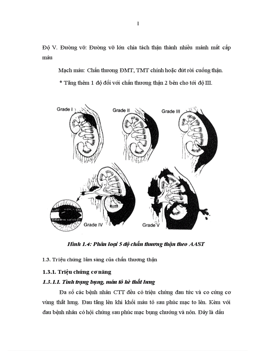 image for page Nghiên cứu đặc điểm lâm sàng cận lâm sàng và kết quả điều trị chấn thương thận không mổ tại bệnh viện Việt Đức