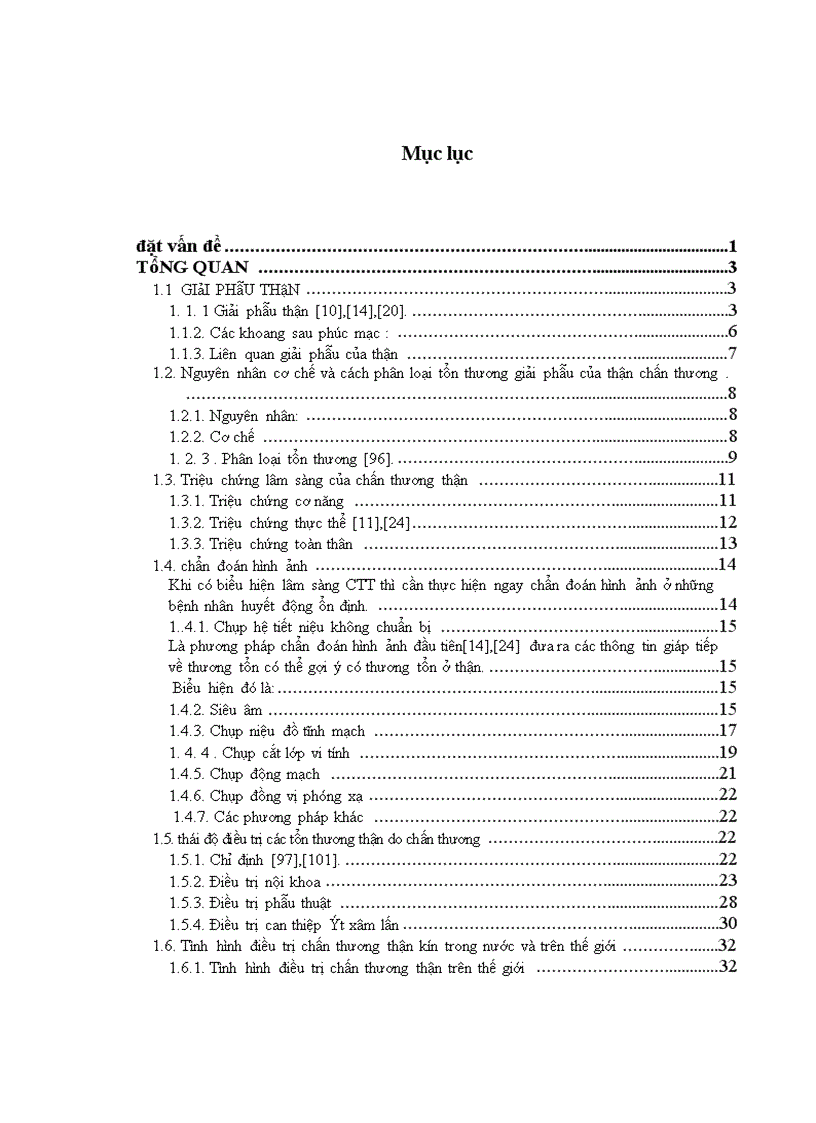 image for page Nghiên cứu đặc điểm lâm sàng cận lâm sàng và kết quả điều trị chấn thương thận không mổ tại bệnh viện Việt Đức