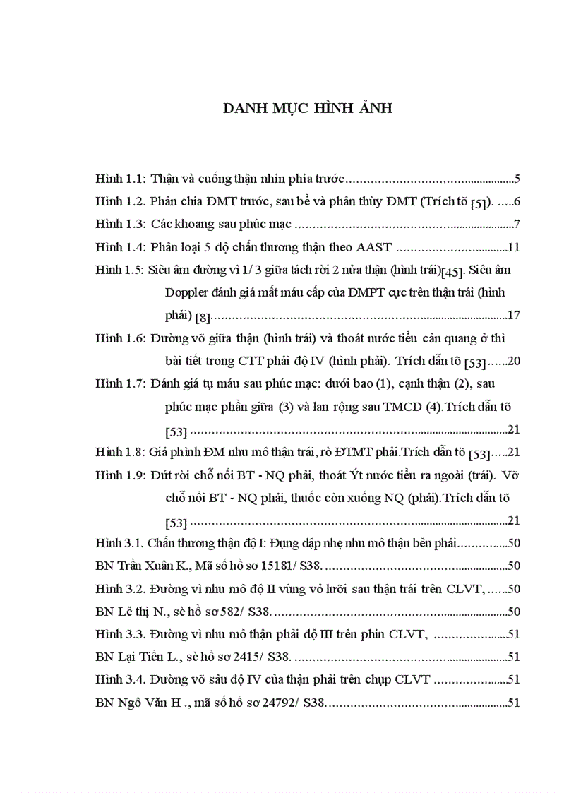 image for page Nghiên cứu đặc điểm lâm sàng cận lâm sàng và kết quả điều trị chấn thương thận không mổ tại bệnh viện Việt Đức