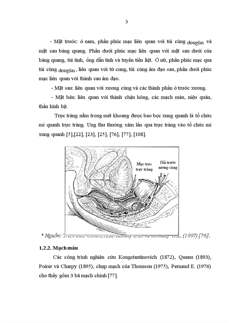 image for page Nghiên cứu giá trị của phương pháp thăm trực tràng chụp cắt lớp vi tính chụp cộng hưởng từ trong xác định mức xâm lấn ung thư biểu mô trực tràng được phẫu thuật triệt căn