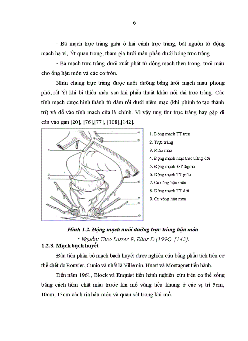 image for page Nghiên cứu giá trị của phương pháp thăm trực tràng chụp cắt lớp vi tính chụp cộng hưởng từ trong xác định mức xâm lấn ung thư biểu mô trực tràng được phẫu thuật triệt căn
