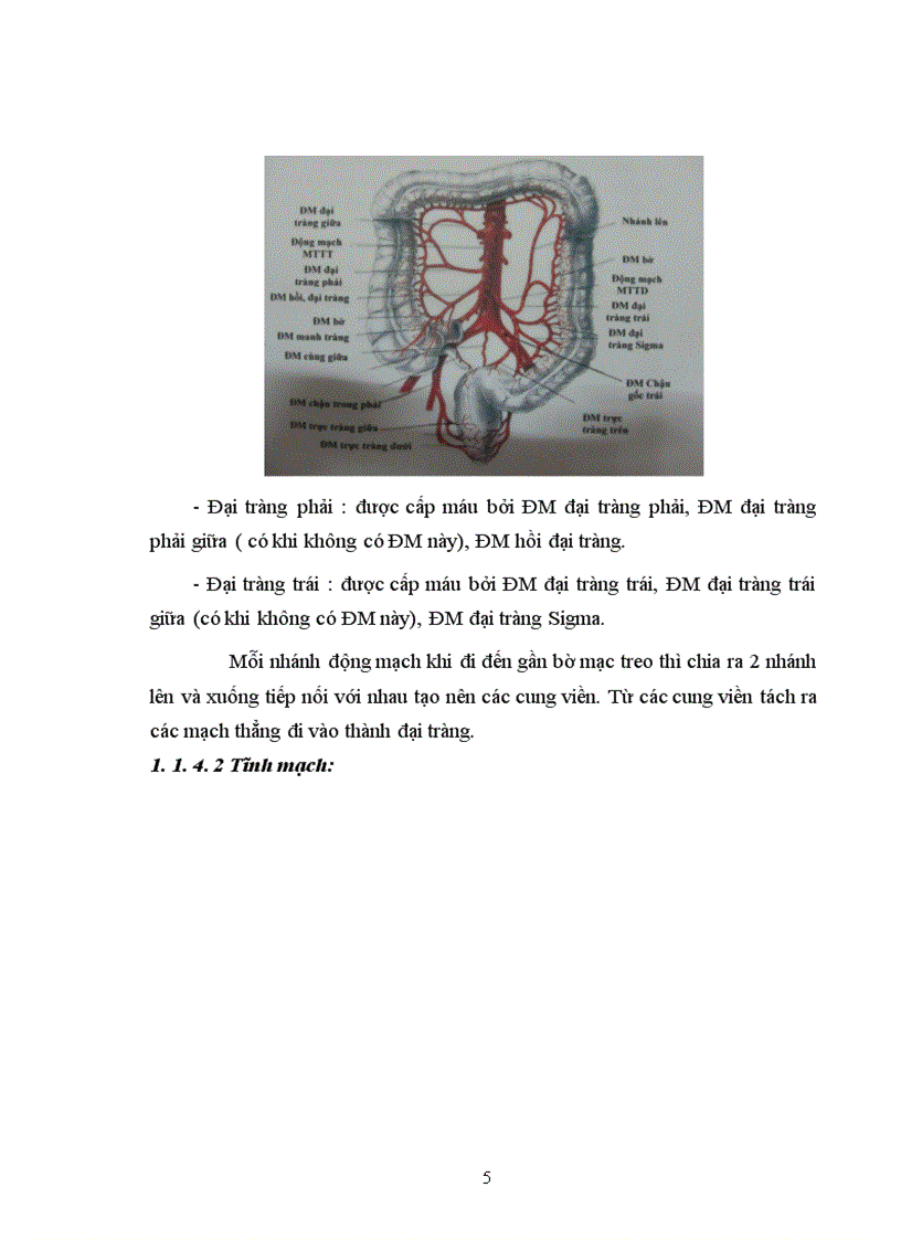 image for page Nghiên cứu kết quả điều trị phẫu thuật ung thư đại tràng tái phát sau mổ tại bệnh viện Việt Đức 1