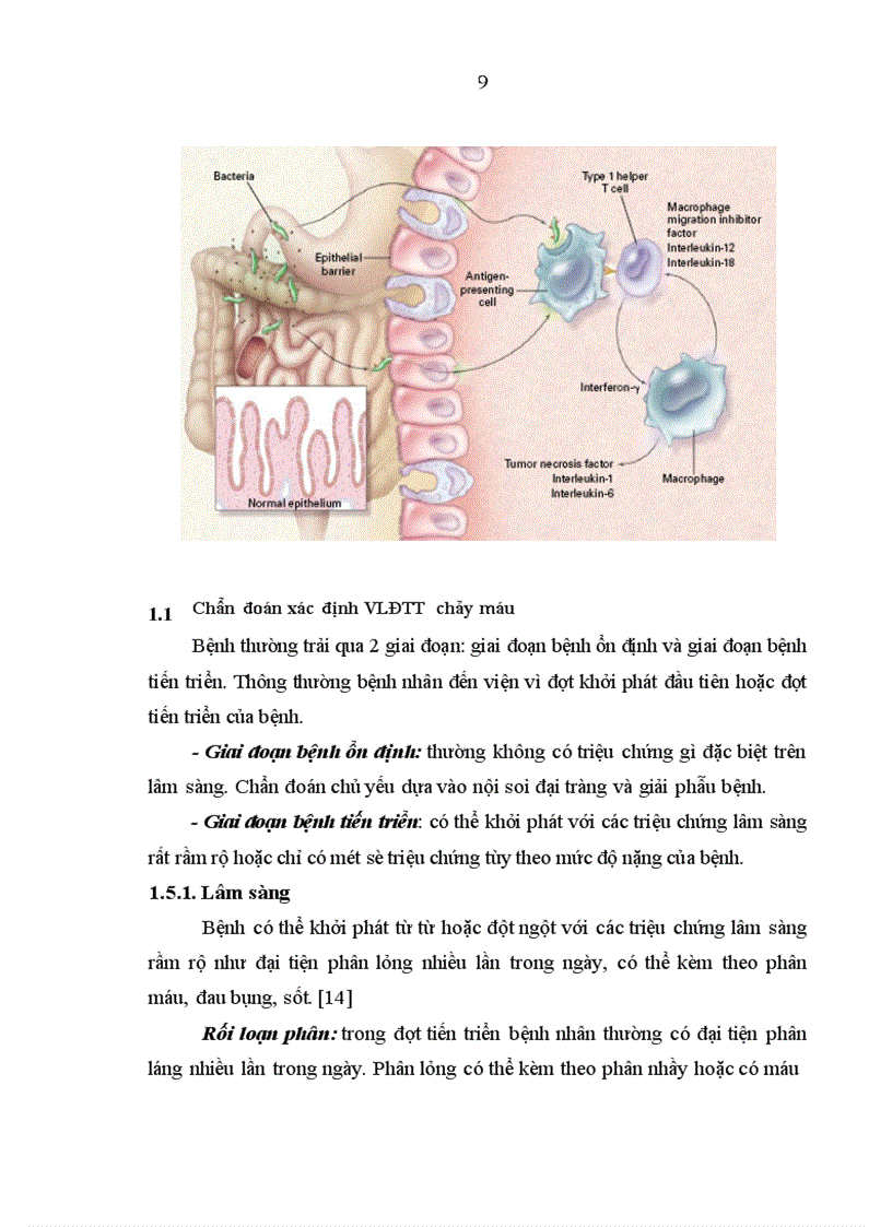 image for page Nghiên cứu đặc điểm lâm sàng và cận lâm sàng bệnh viêm loét đại trực tràng chảy máu
