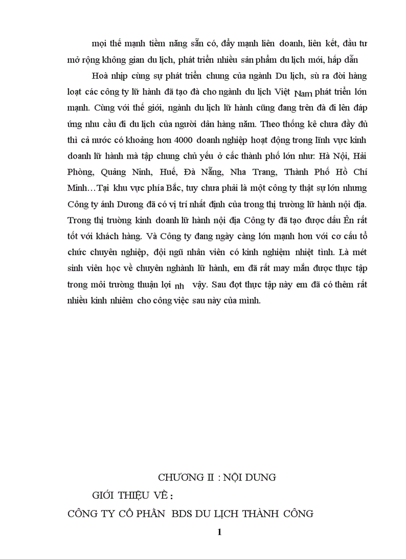 image for page Báo cáo thực tập tổng hợp của Công ty cổ phần bds du lịch thành công