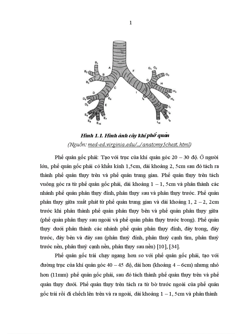 image for page Nghiên cứu đặc điểm lâm sàng cận lâm sàng nguyên nhân ở bệnh nhân có tổn thương phổi thùy giữa điều trị tại khoa Hô hấp Bệnh viện Bạch Mai 1