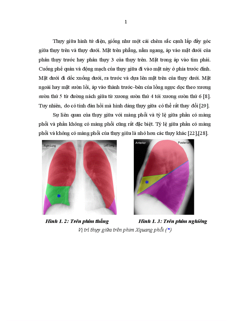 image for page Nghiên cứu đặc điểm lâm sàng cận lâm sàng nguyên nhân ở bệnh nhân có tổn thương phổi thùy giữa điều trị tại khoa Hô hấp Bệnh viện Bạch Mai 1