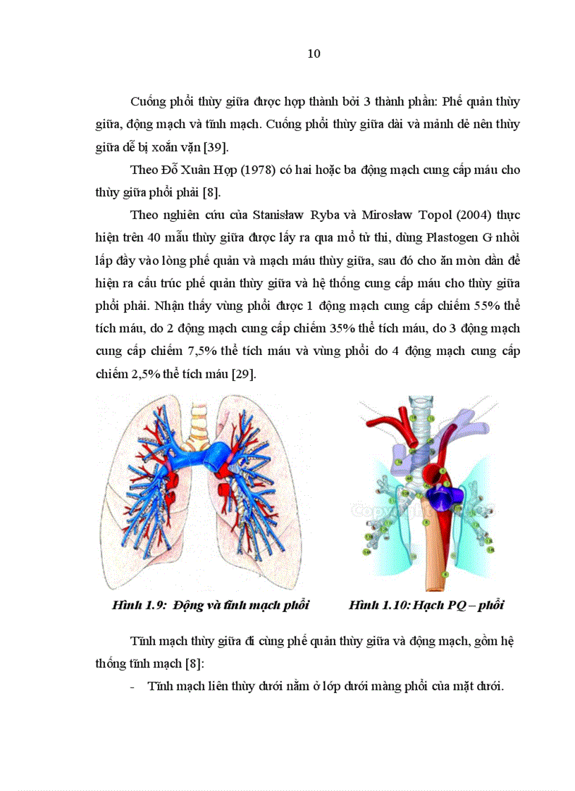 image for page Nghiên cứu đặc điểm lâm sàng cận lâm sàng nguyên nhân ở bệnh nhân có tổn thương phổi thùy giữa điều trị tại khoa Hô hấp Bệnh viện Bạch Mai 1