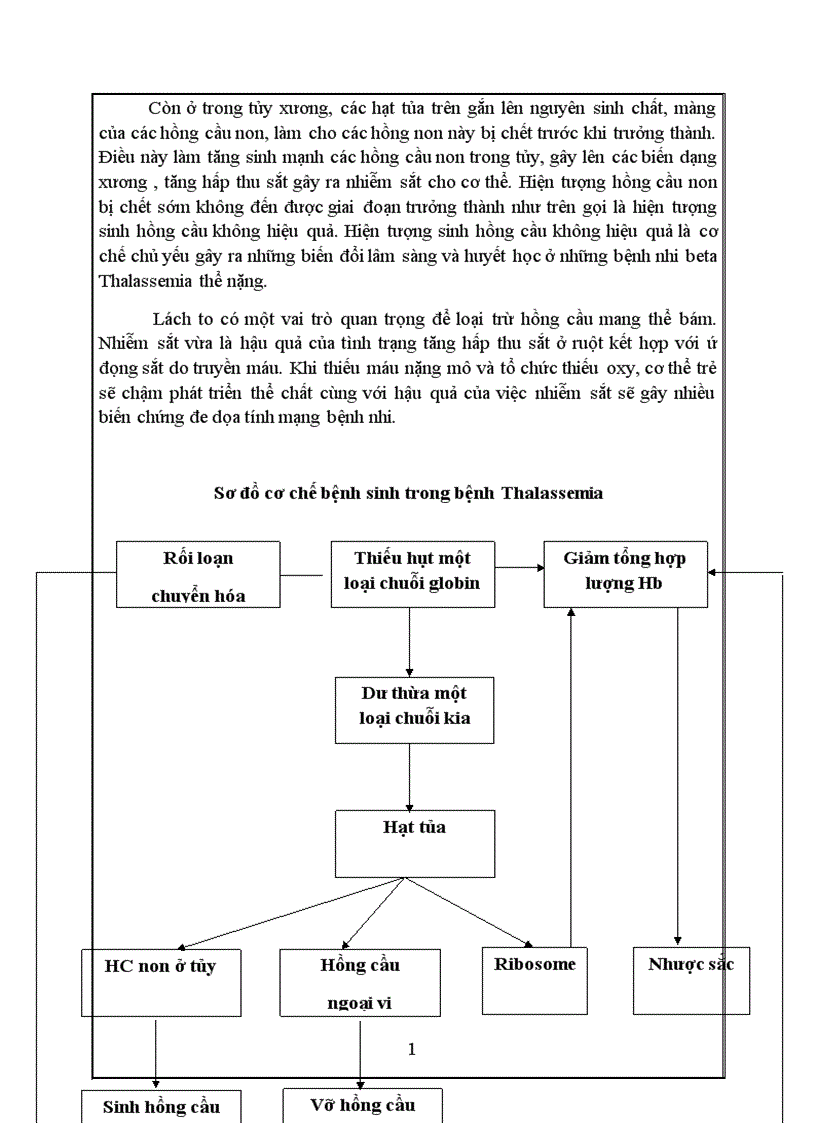 image for page Nghiên cứu đặc điểm lâm sàng huyết học và nhận xét điều trị Thalasemia thể nặng và thể trung gian ở bệnh viện trẻ em Hải Phòng