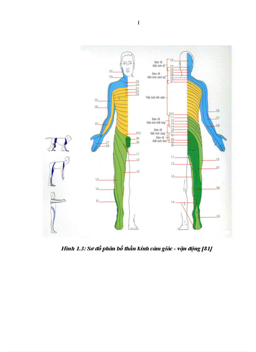 image for page So sánh tác dụng GTTS một bên với GTTS hai bên bằng bupivacain kết hợp fentanyl trong phẫu thuật chi dưới 1